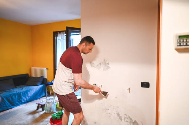 Best Professional Mold Removal  in Island Park, NY